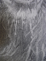 IMG9919.jpg